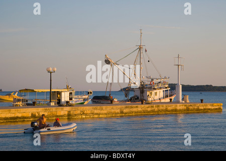 Port de Kaohsiung et la pêche et des bateaux d'excursion pour les îles Brijuni, Istrie, Croatie, Europe Banque D'Images