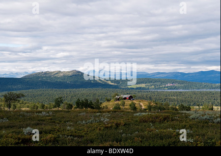 Une cabine isolée dans les montagnes près de Vinsra, Lillehammer (Gudbrandsdalen), Norvège Banque D'Images