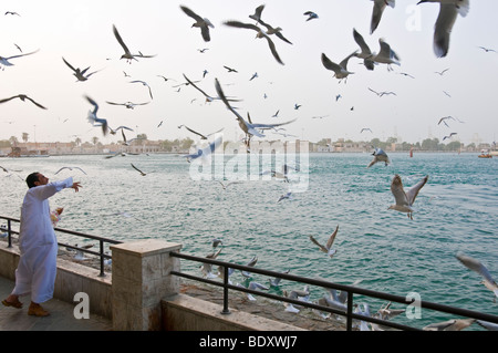 Nourrir les oiseaux l'homme Dubai Creek Banque D'Images