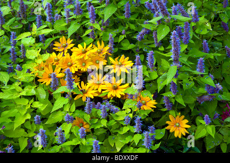 Les sentiers du jardin de fleurs, arrangements floraux et à l'English Gardens dans le parc Assiniboine à Winnipeg, Manitoba, Canada. Banque D'Images