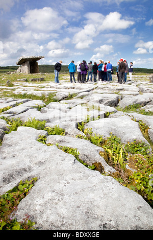 Chambre funéraire de poulnabrone ; burran ; comté de Clare, Irlande Banque D'Images