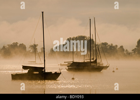 Bateaux à voile et le brouillard à l'extrémité sud du lac Ammersee à Diessen, Bavaria, Germany, Europe Banque D'Images