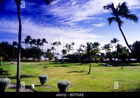 Les formations de nuages merveilleux, derrière les palmiers à the Calabash Hotel Grenade. West Indies. Banque D'Images