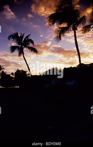 Les formations de nuages merveilleux, derrière les palmiers à the Calabash Hotel Grenade. West Indies. Banque D'Images