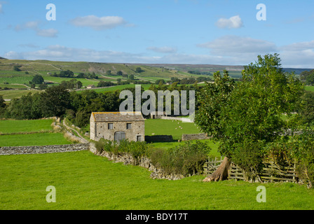 Domaine des granges dans Wensleydale, près de Aysgarth, Wensleydale, Yorkshire Dales National Park, North Yorkshire, England UK Banque D'Images