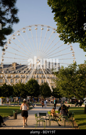 Grande Roue, Jardin des Tuileries, Paris, France Banque D'Images