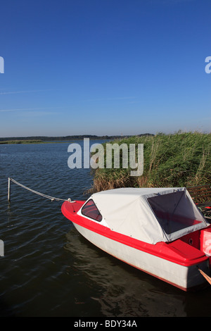 Bateau amarré au bodden-côte, Lieper Winkel, île de Usedom, occidentale, l'Allemagne, l'Europe. Photo par Willy Matheisl Banque D'Images