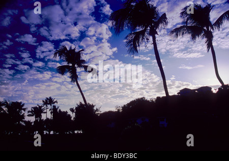 Les formations de nuages merveilleux, derrière les palmiers à the Calabash Hotel Grenade. West Indies. Banque D'Images