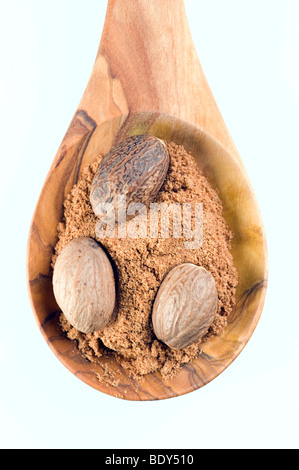 Muscade (myristica fragrans), ensemble et en poudre sur une cuillère de bois d'olive Banque D'Images