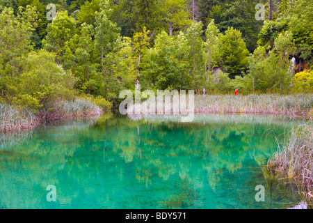Lac, Plitvicka Jezera, le parc national des Lacs de Plitvice, Croatie, Europe, Lika-Senj Banque D'Images