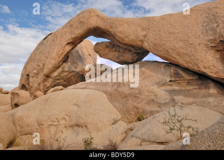 Arch Rock, formation monzogranite, Joshua Tree National Park, Palm Desert, California, USA Banque D'Images