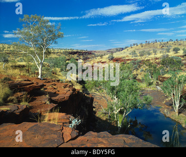L'Australie, Australie occidentale, Pilbara, Hamersley Range Parc national de Karijini, Gorge Kalamina Banque D'Images