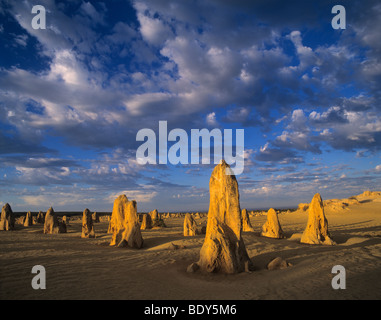 L'Australie, l'Australie occidentale, le Parc National de Nambung, le désert Pinnacle Banque D'Images