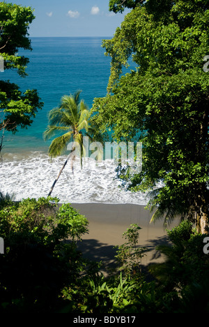 La Côte Tropical près de la baie Drake, péninsule d'Osa, au Costa Rica. Banque D'Images