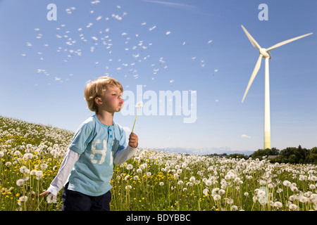 Boy blowing dandelion à wind turbine Banque D'Images