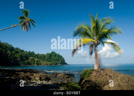 La Côte Tropical près de la baie Drake, péninsule d'Osa, au Costa Rica. Banque D'Images