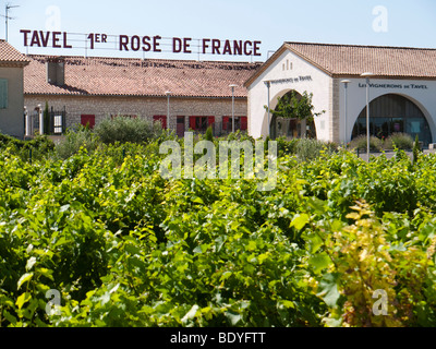 Un vignoble en face de la coopérative viticole de Tavel. La demande en vins Tavel pour produire le meilleur vin rosé de France. Banque D'Images