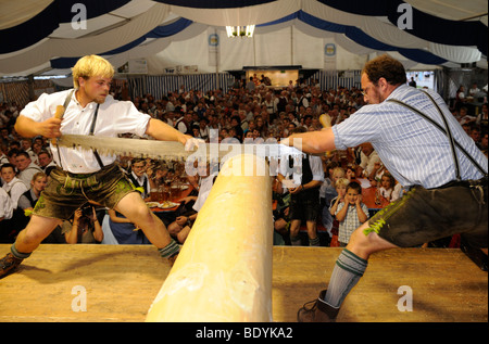 Tradition bavaroise, Wiagsoagschneidn log sciage dans une tente à bière, Beuerberg, Haute-Bavière, Bavaria, Germany, Europe Banque D'Images