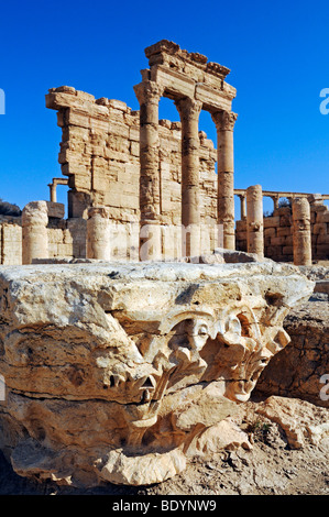 Ruines du site archéologique de Palmyre, Syrie, Asie, Tadmur Banque D'Images