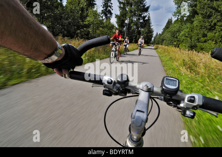 Chemin du cycle avec les cyclistes en forêt Perlacher Forst, Munich, Bavaria, Germany, Europe Banque D'Images