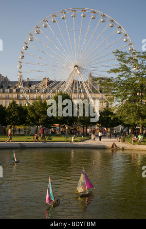 Grande Roue, Jardin des Tuileries, Paris, France Banque D'Images