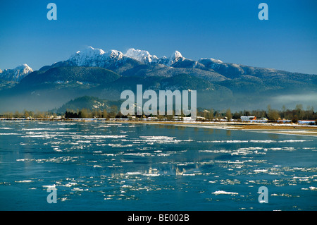 La rivière Pitt, la vallée du Fraser, en Colombie-Britannique, Colombie-Britannique, Canada - "Golden Ears" de montagne ('Coast Mountains'), couvertes de neige, de glace à la dérive Banque D'Images