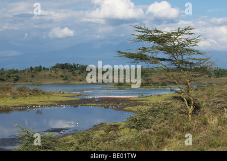 Lacs Momella au Parc National d'Arusha, Tanzania, Africa Banque D'Images