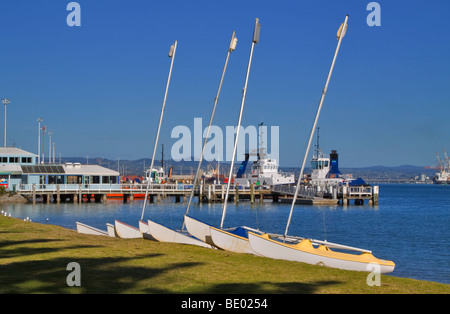 Catamarans établi sur la plage de la baie de pilote, Tauranga Harbour, Mount Maunganui, Nouvelle-Zélande. Banque D'Images