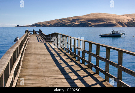 La jetée de Omapere Hokianga, Harbour, en Nouvelle Zélande. Banque D'Images