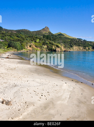 La plage d'Omapere, île du Nord, en Nouvelle-Zélande. Banque D'Images
