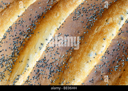 Une miche de pain aux graines de pavot bloomer Banque D'Images