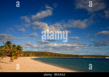 Usa, Amérique, Porto Rico, l'île de Vieques, Sun Bay Beach Banque D'Images