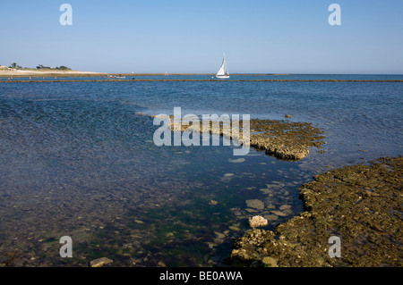 Plage de La Noue , Ile de Ré, France Banque D'Images