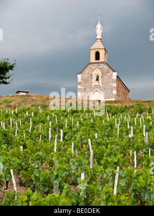 La chapelle "La Madone" est au-dessus de la célèbre vignoble du Beaujolais de Fleurie. Banque D'Images