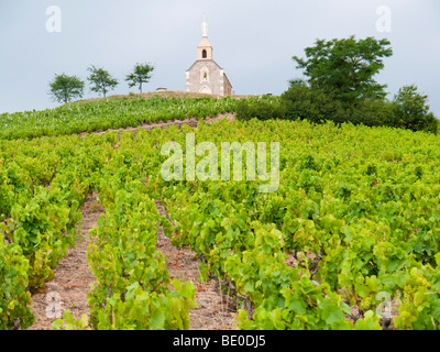 La chapelle "La Madone" est au-dessus de la célèbre vignoble du Beaujolais de Fleurie. Banque D'Images