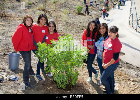 Les bénévoles aident à la plantation d'arbres pour reboiser Stetson Ranch Park à Sylmar après l'incendie dévastateur de 2008. Californie Banque D'Images