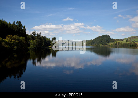 Les arbres et les infirmières de l'effort Tower se reflétant dans les eaux du lac Vyrnwy, Powys, Wales Banque D'Images