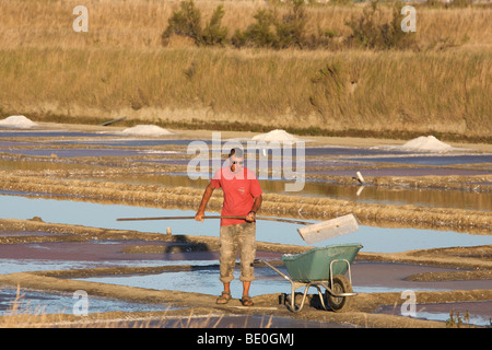 Le sel de l'agriculture, ile de Re, France Banque D'Images