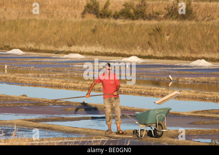 Le sel de l'agriculture, ile de Re, France Banque D'Images