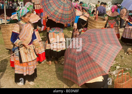 H'Mong fleurs tribals en utilisant des parapluies pour pare-soleil à Bac Ha marché, Vietnam Banque D'Images