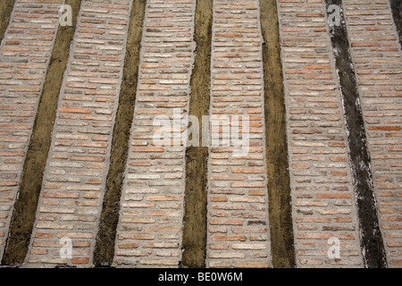 Exemple de mur de l'ancien bâtiment en bois avec remplissage de briques Partheney en France Septembre 2009 Banque D'Images