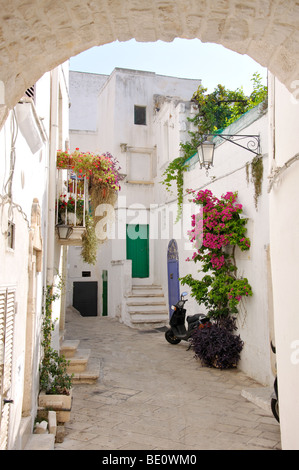 Rue pavées étroites dans la vieille ville, Ostuni, Brindisi Province, Région des Pouilles, Italie Banque D'Images