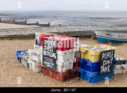 Pour les boîtes de recyclage de coquille d'Huître, Whitstable, Kent Banque D'Images