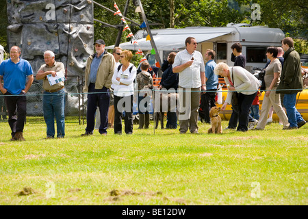 Cheerful foule assistant à la foire annuelle de Coniston Banque D'Images