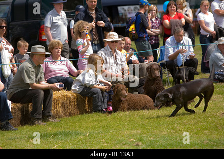 Regarder la foule Bossuit Gundog Club démonstration de compétences à Coniston Country Fair Banque D'Images