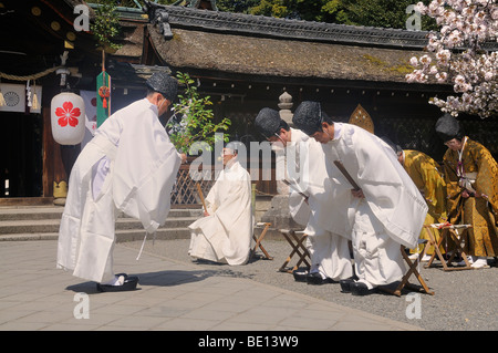 Prêtre Shinto à purgation avec agitant les branches et les prêtres d'archet, culte fête le cherry blossom à la Shr Hirano Banque D'Images