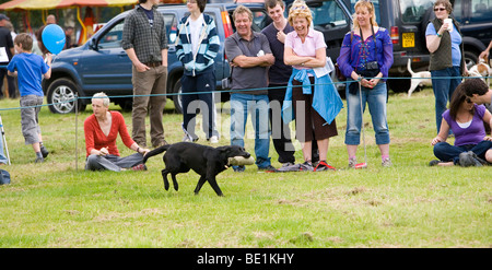 Foule de rire et profiter de regarder Bossuit Gundog compétences Club affichage à Coniston Country Fair Banque D'Images