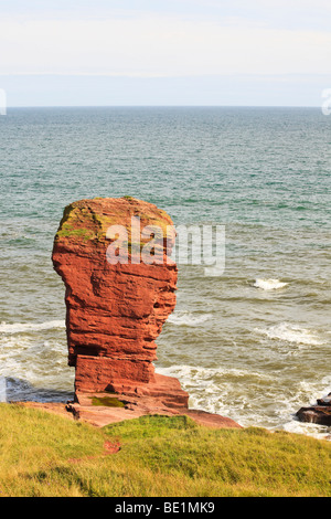 Deil's Heid Sea stack, Arbroath, Angus. Banque D'Images