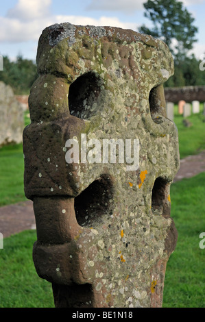 Détail de l'Anglo-Saxon wheelhead croix. Église de Saint Michel et de tous les Anges, Addingham, Cumbria, Angleterre, Royaume-Uni, Europe. Banque D'Images