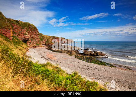 Auchmithie beach, Arbroath, Angus, Scotland Banque D'Images